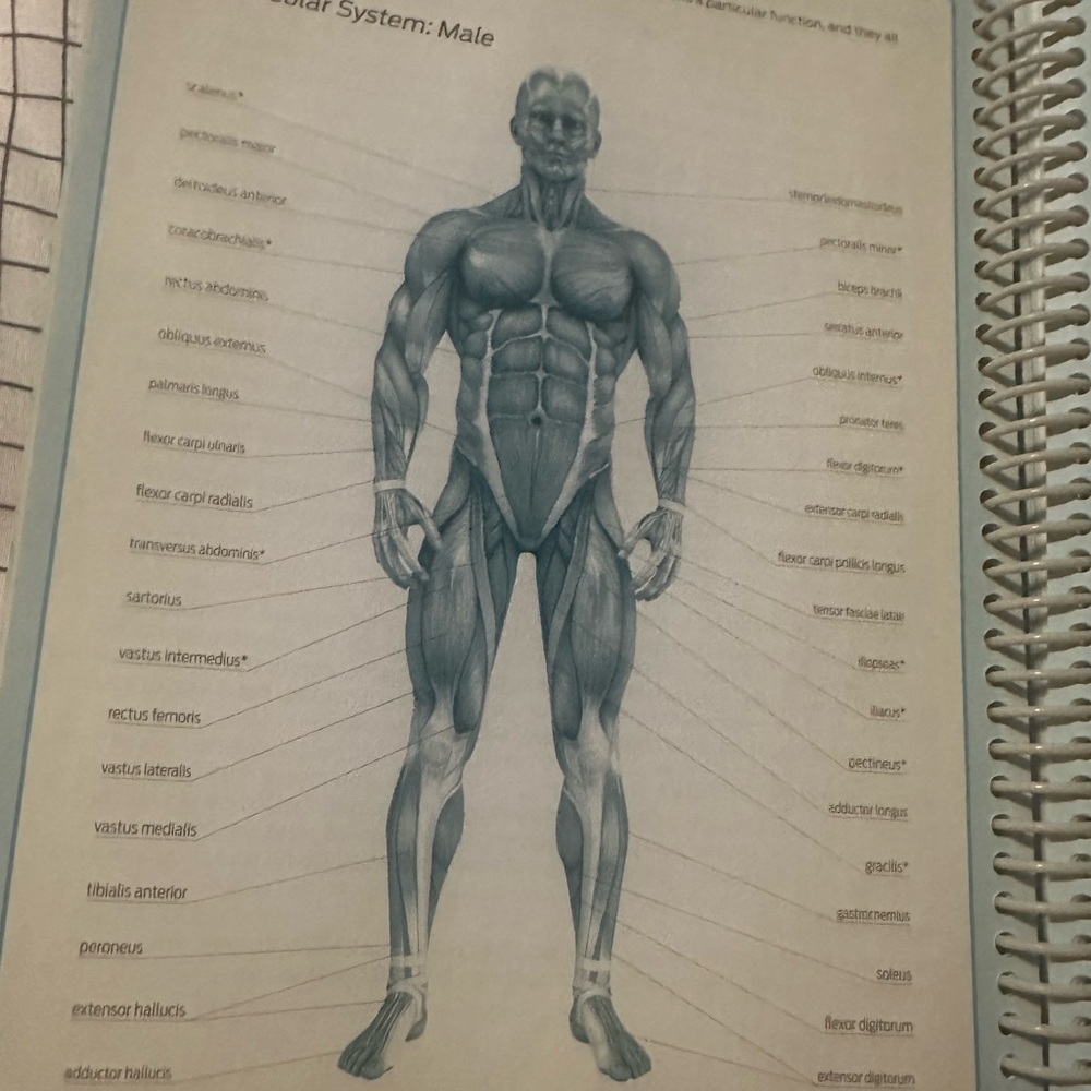 Yellow Workout Journal - Picture 6 of 9